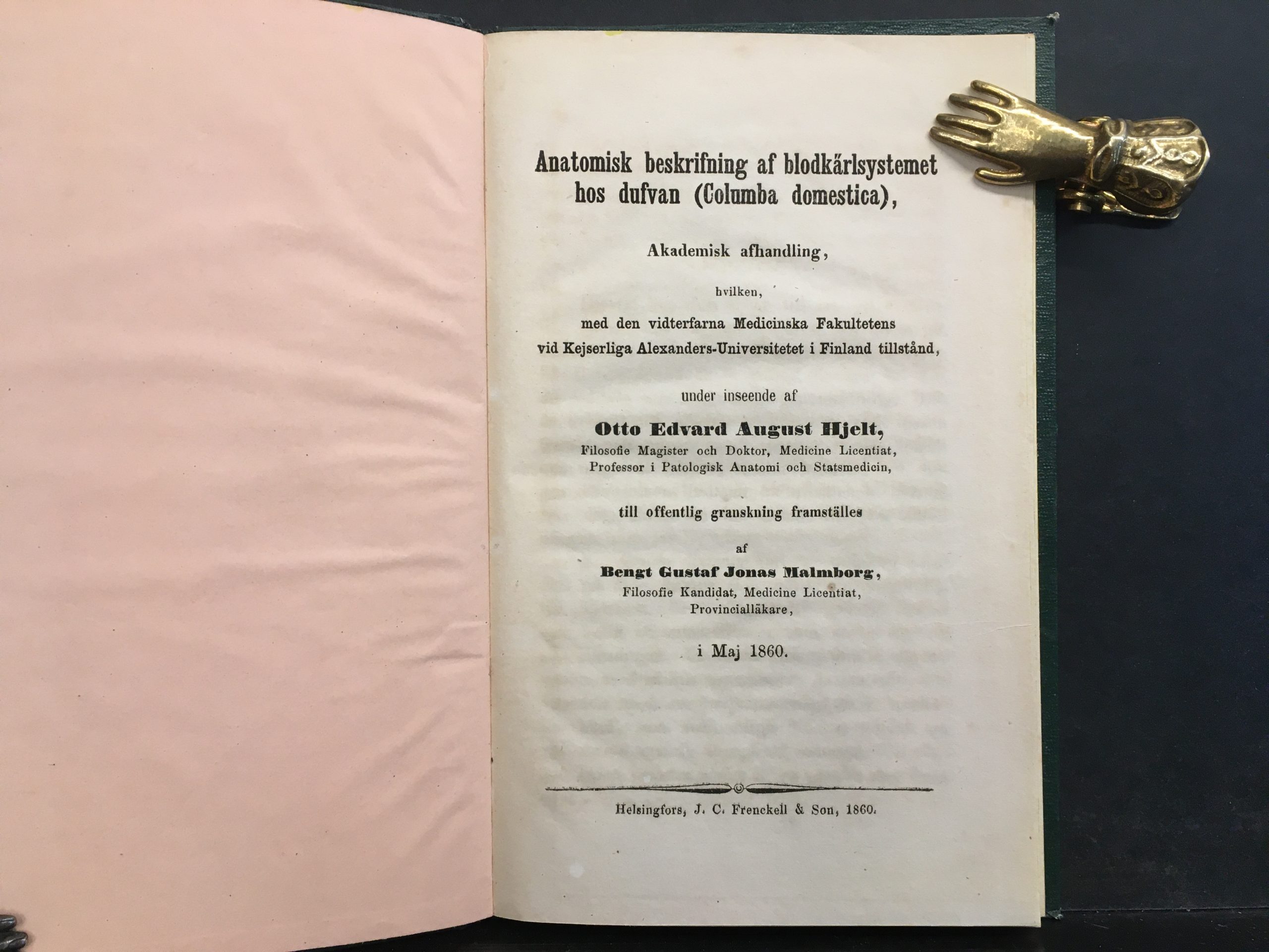Malmborg, Bengt Gustaf Jonas: Anatomisk beskrifning af blodkärlsystemet hos dufvan (Columba domestica) (1860) - Image 2
