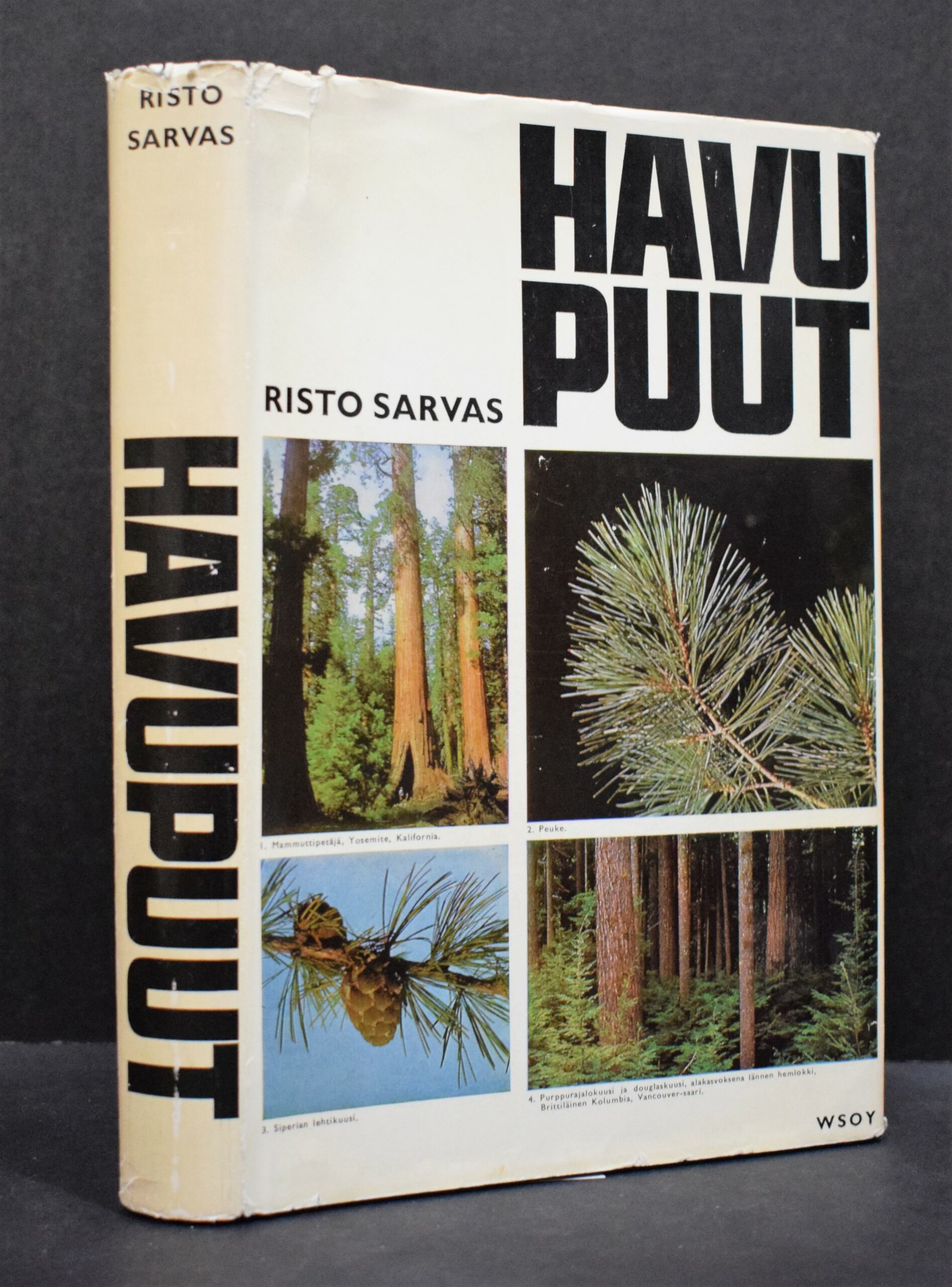RISTO SARVAS Havupuut