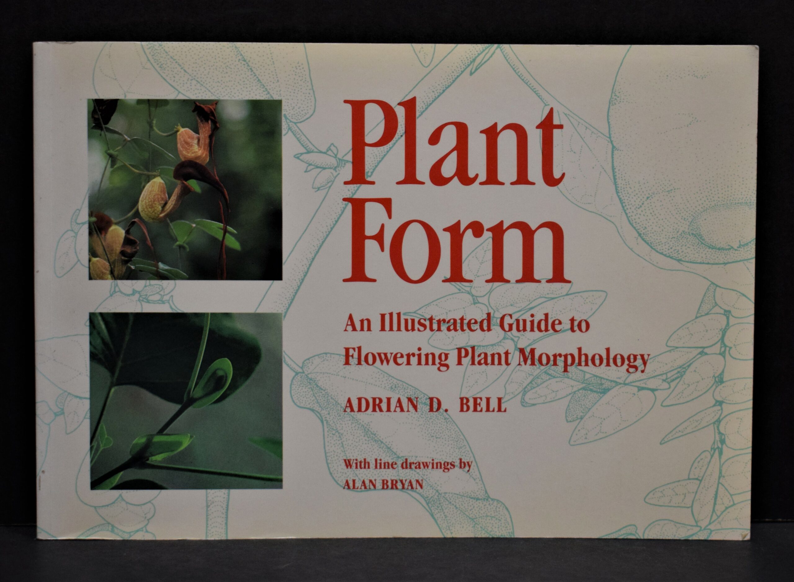 Plant Form - An Illustrated Guide to Flowering Plant Morphology