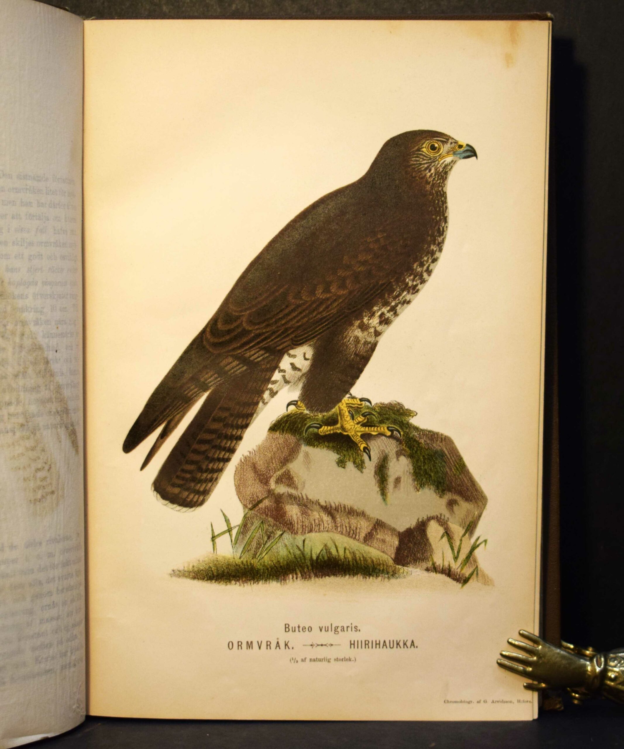 Tidskrift för jägare och fiskare 1893-94