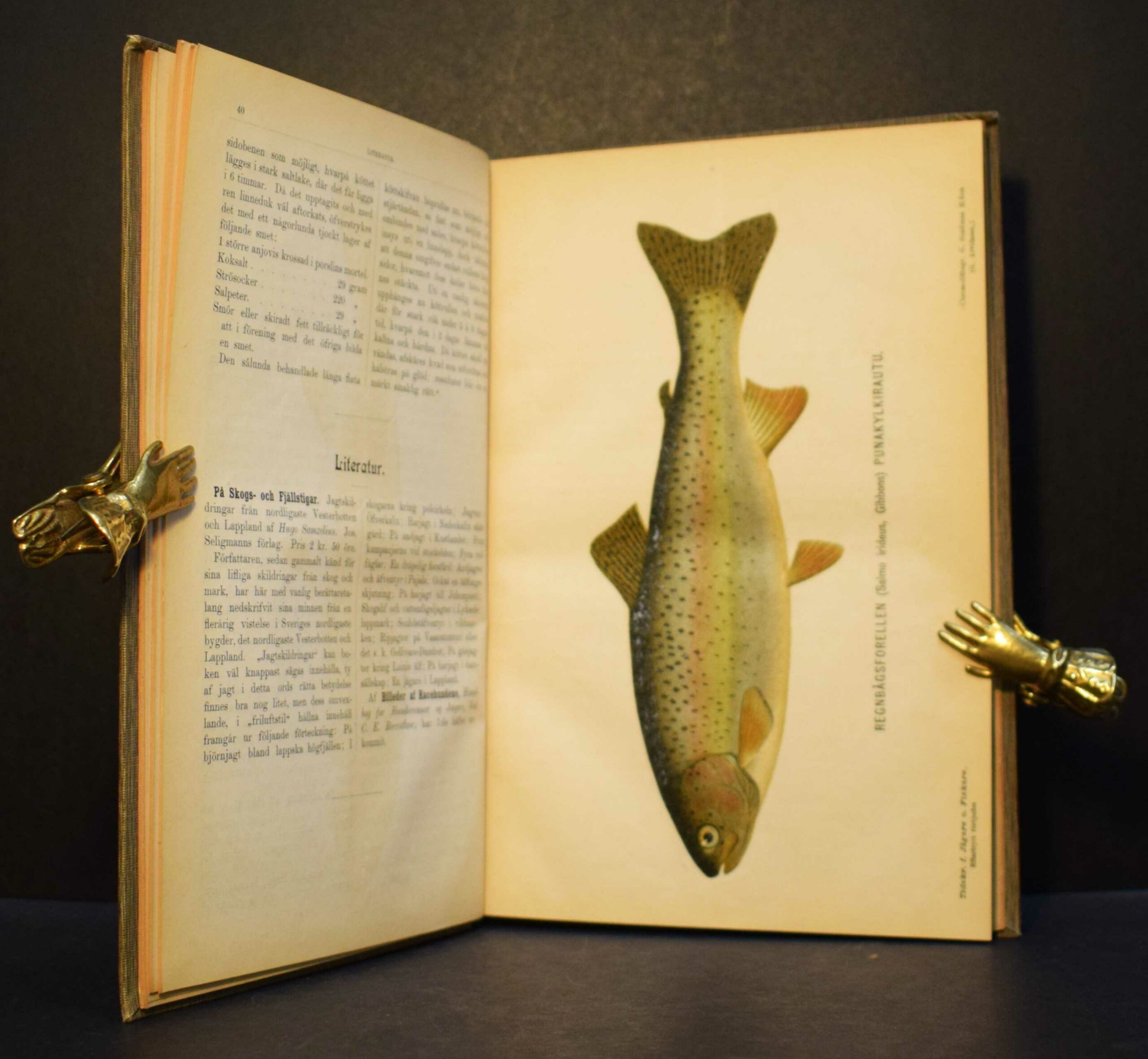 Tidskrift för jägare och fiskare 1895